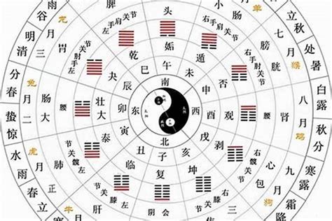 丁癸|天干地支五行对照表